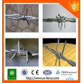 Elektro- und feuerverzinkter Stacheldraht / PVC-beschichteter Stacheldraht